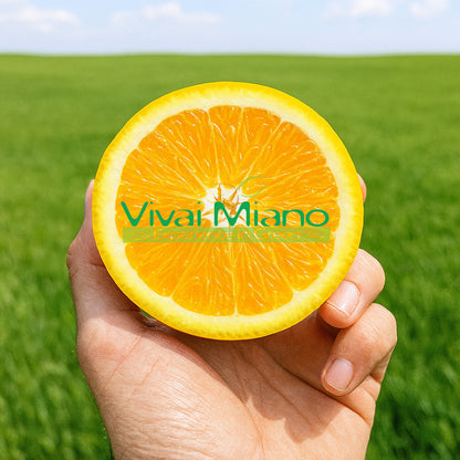 Pianta di Arancio Navel Tardivo (vaso - 20)